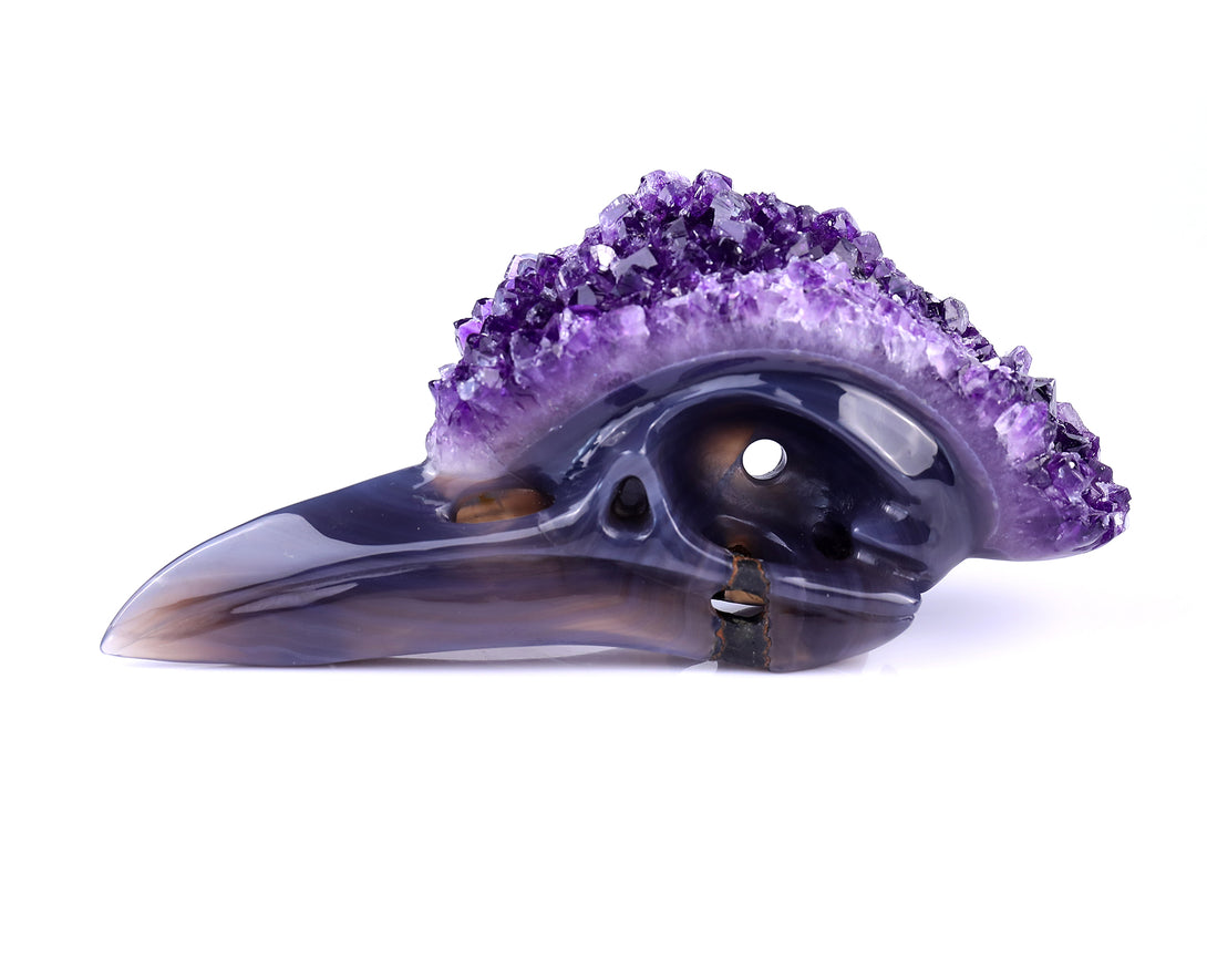 7.2" Amethyst Druse Agate Hand Carved Crystal Geode Raven Skull Sculpture crysvibe