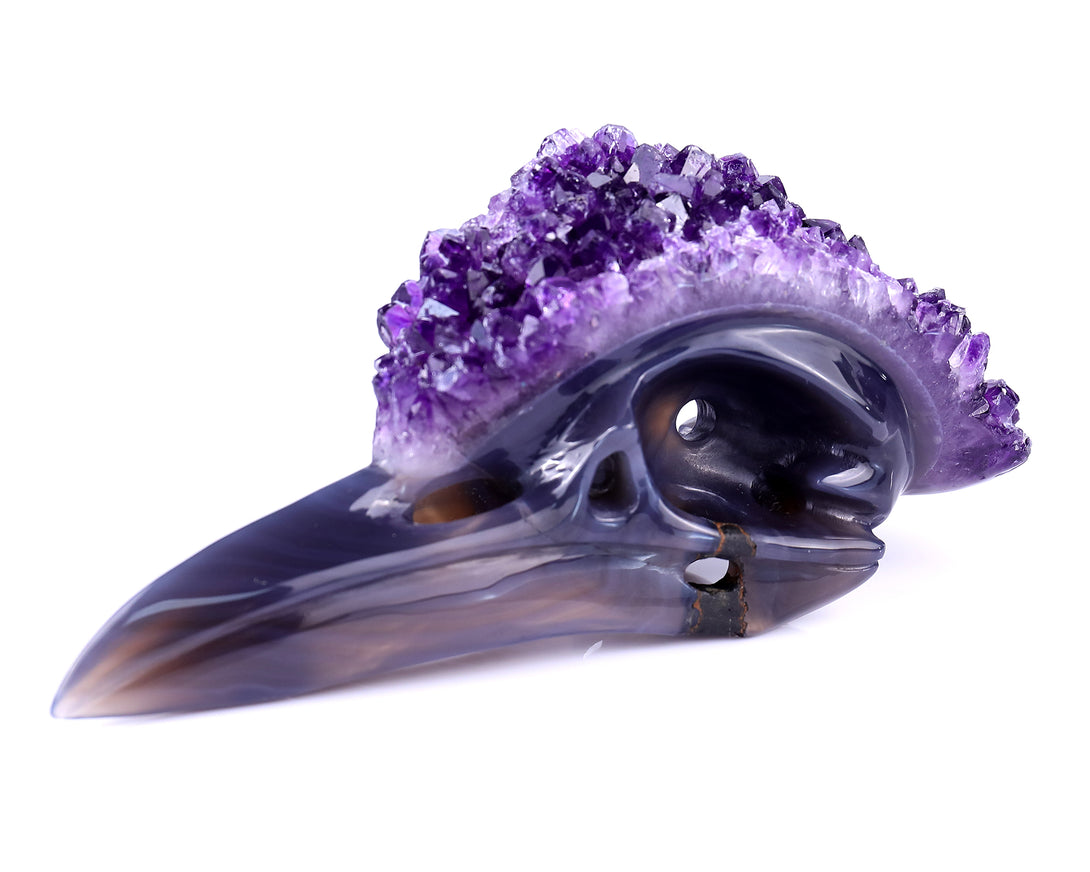 7.2" Amethyst Druse Agate Hand Carved Crystal Geode Raven Skull Sculpture crysvibe