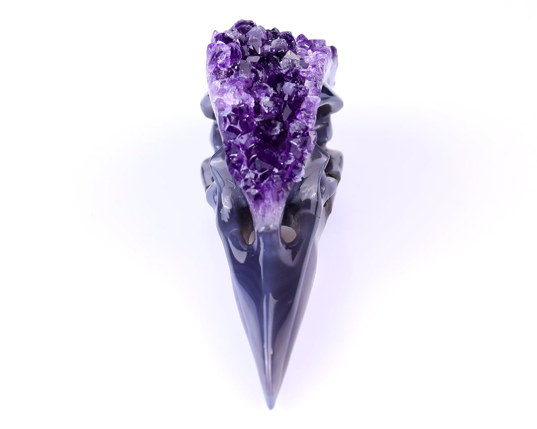 7.2" Amethyst Druse Agate Hand Carved Crystal Geode Raven Skull Sculpture crysvibe