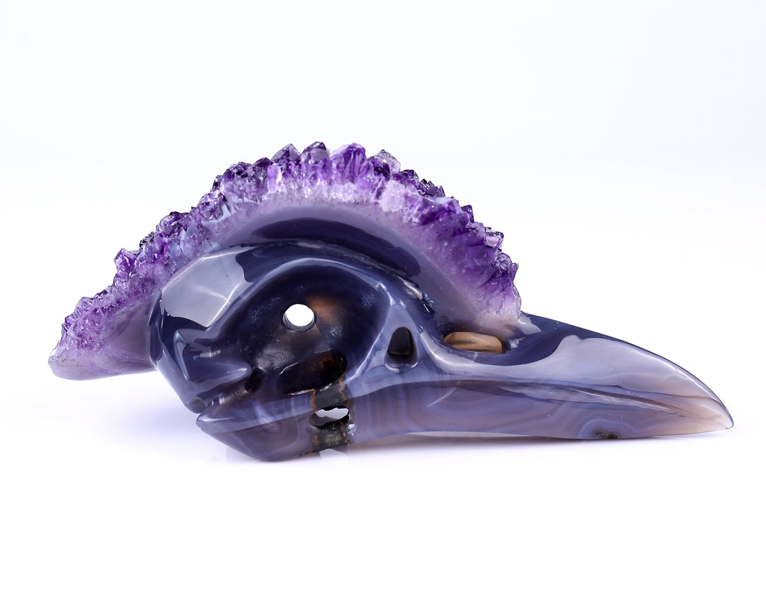 7.2" Amethyst Druse Agate Hand Carved Crystal Geode Raven Skull Sculpture crysvibe