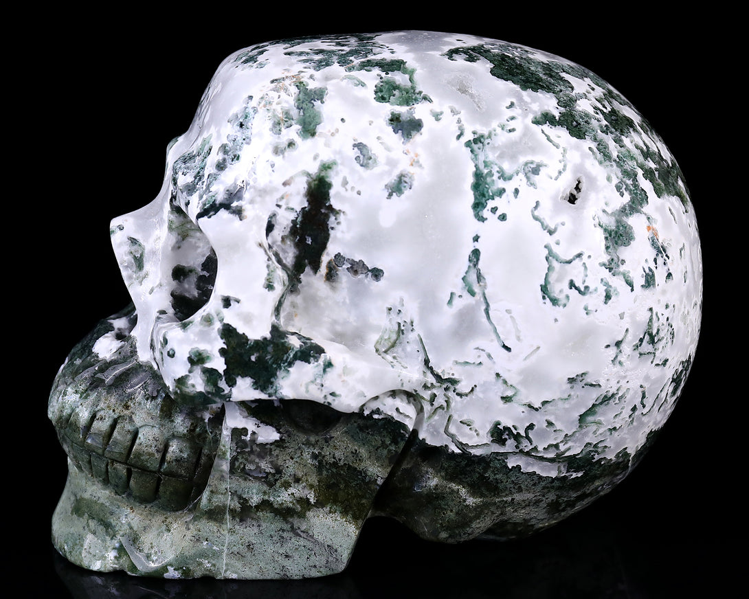 7.3" Moss Agate Hand Carved Crystal Realistic Skull Sculpture crysvibe