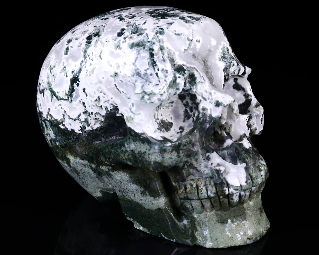 7.3" Moss Agate Hand Carved Crystal Realistic Skull Sculpture crysvibe