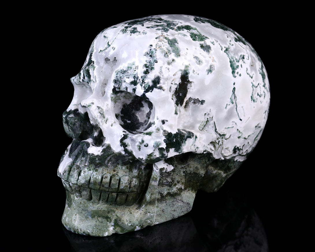 7.3" Moss Agate Hand Carved Crystal Realistic Skull Sculpture crysvibe