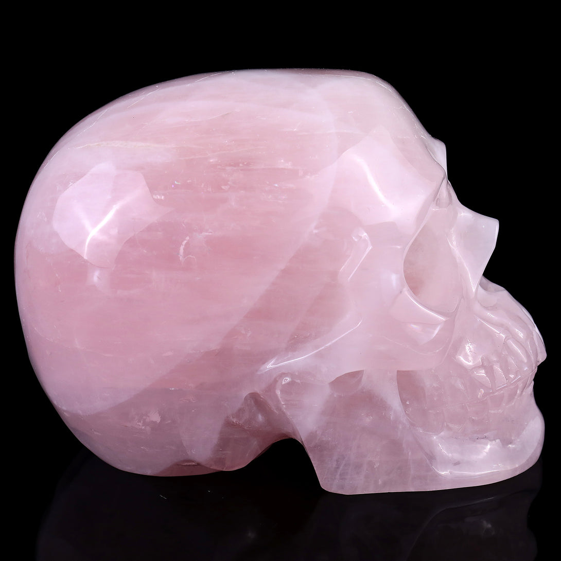 7.6" Rose Quartz Hand Carved Crystal Realistic Skull Sculpture crysvibe