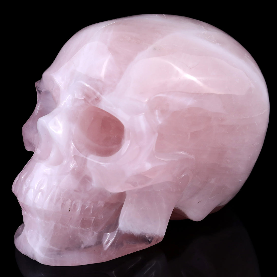 7.6" Rose Quartz Hand Carved Crystal Realistic Skull Sculpture crysvibe