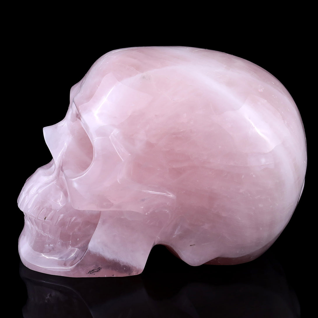 7.6" Rose Quartz Hand Carved Crystal Realistic Skull Sculpture crysvibe