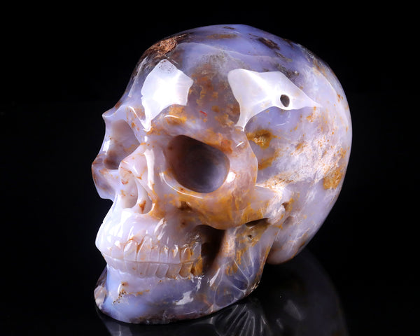 7.7" Blue Chalcedony Hand Carved Crystal Realistic Skull Sculpture crysvibe