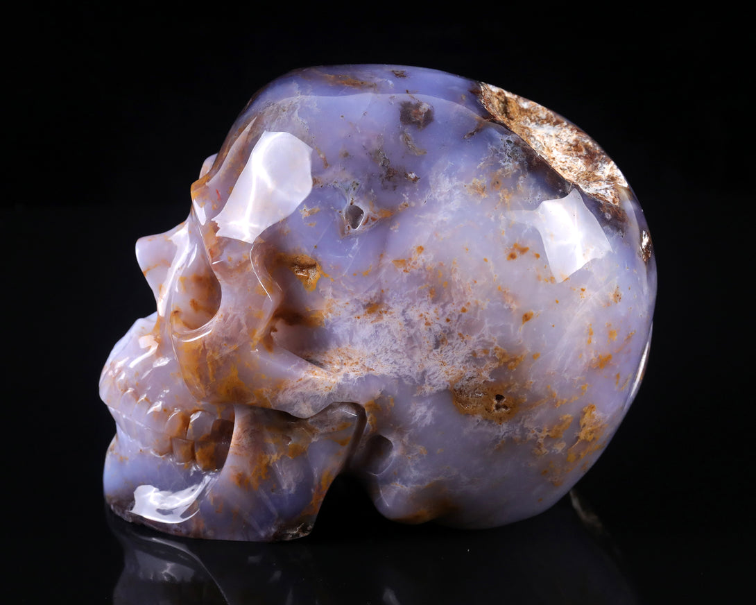 7.7" Blue Chalcedony Hand Carved Crystal Realistic Skull Sculpture crysvibe