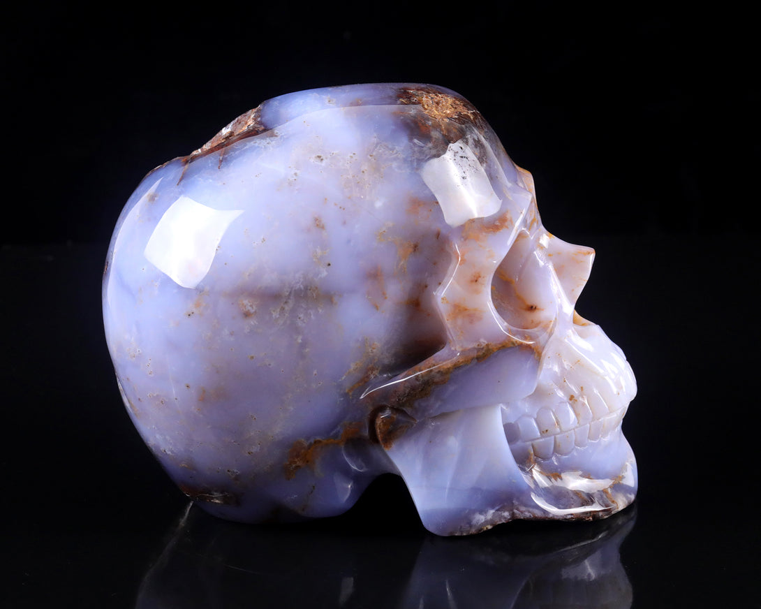 7.7" Blue Chalcedony Hand Carved Crystal Realistic Skull Sculpture crysvibe