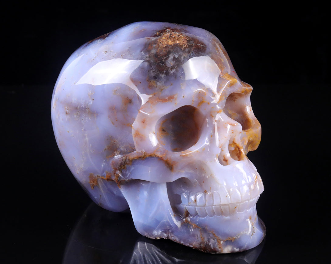 7.7" Blue Chalcedony Hand Carved Crystal Realistic Skull Sculpture crysvibe