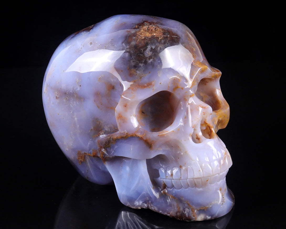 7.7" Blue Chalcedony Hand Carved Crystal Realistic Skull Sculpture crysvibe