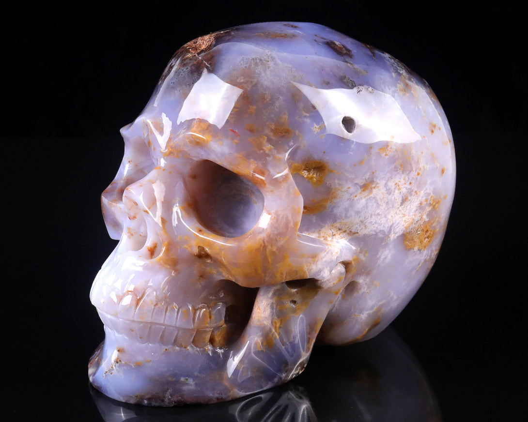 7.7" Blue Chalcedony Hand Carved Crystal Realistic Skull Sculpture crysvibe