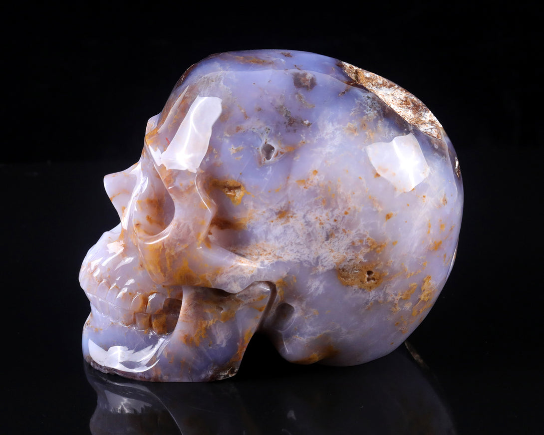 7.7" Blue Chalcedony Hand Carved Crystal Realistic Skull Sculpture crysvibe