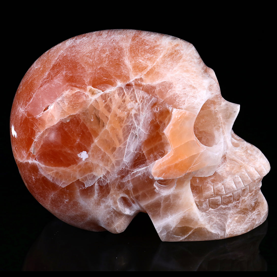 7.7" Orange Selenite Hand Carved Crystal Realistic Skull Sculpture crysvibe