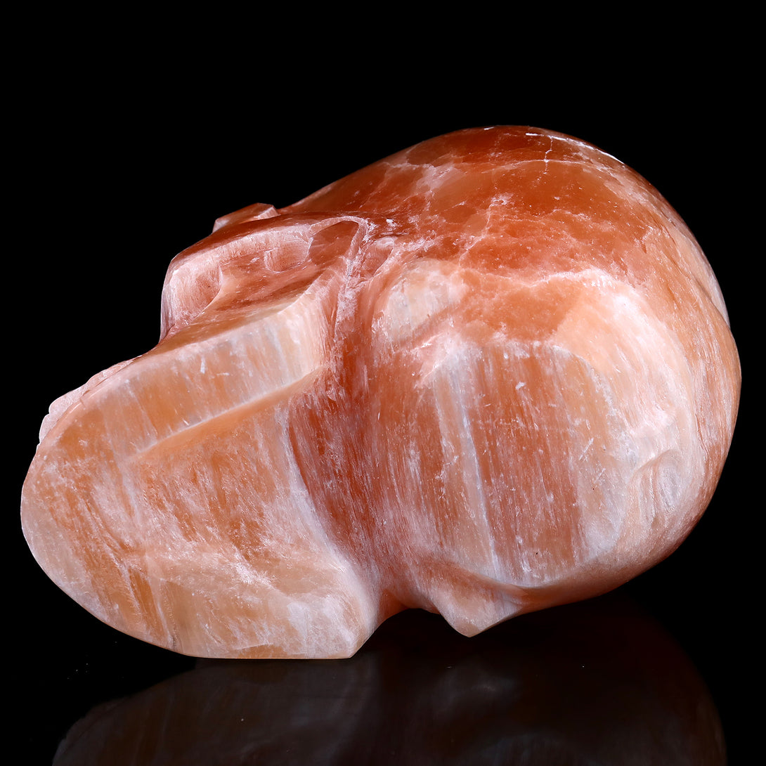 7.7" Orange Selenite Hand Carved Crystal Realistic Skull Sculpture crysvibe