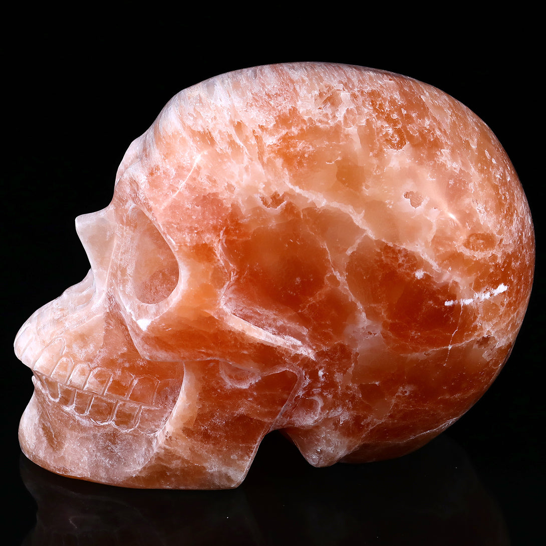 7.7" Orange Selenite Hand Carved Crystal Realistic Skull Sculpture crysvibe