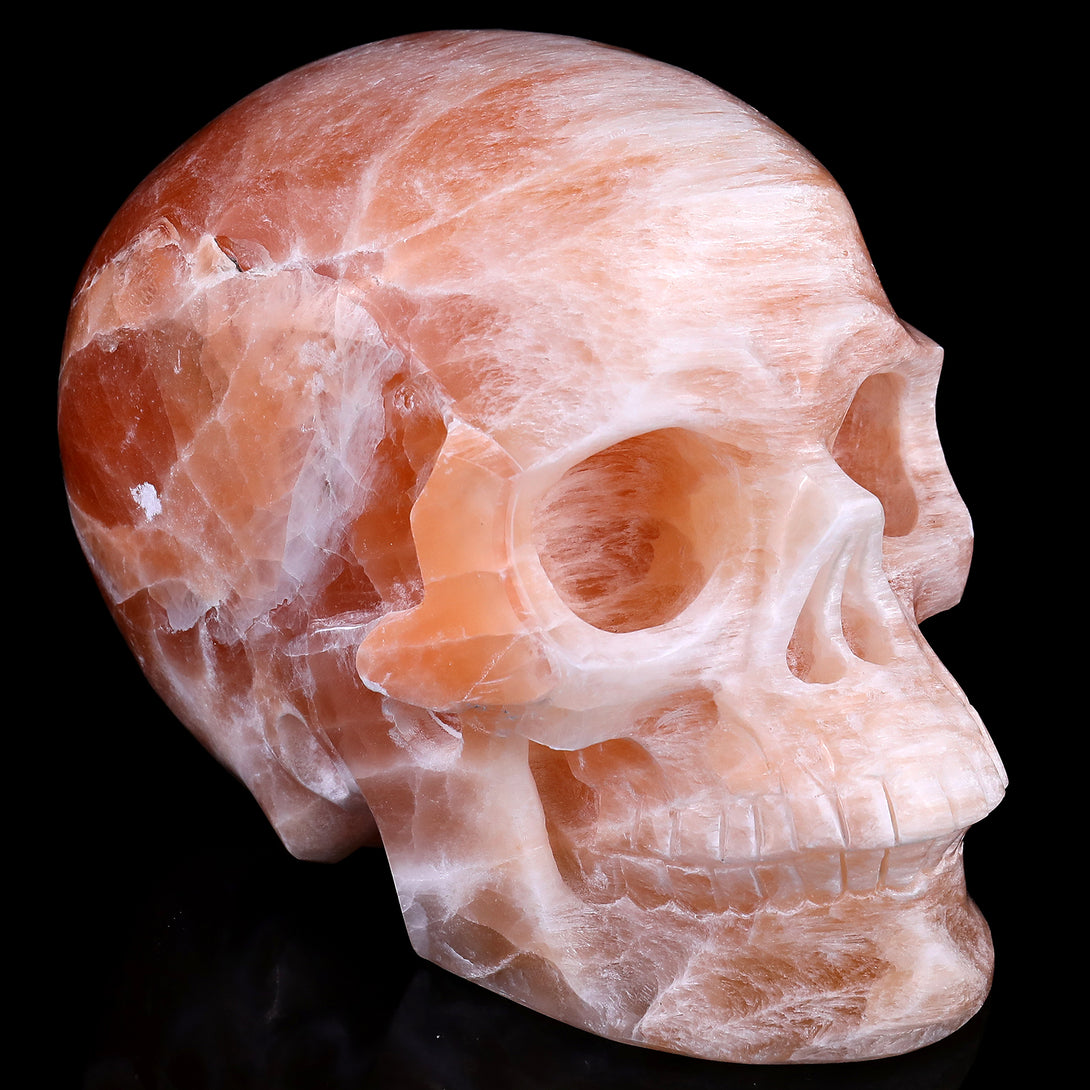 7.7" Orange Selenite Hand Carved Crystal Realistic Skull Sculpture crysvibe