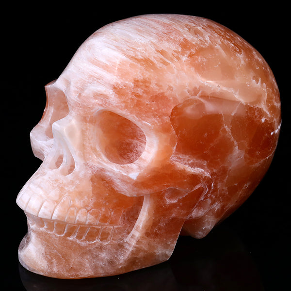 7.7" Orange Selenite Hand Carved Crystal Realistic Skull Sculpture crysvibe