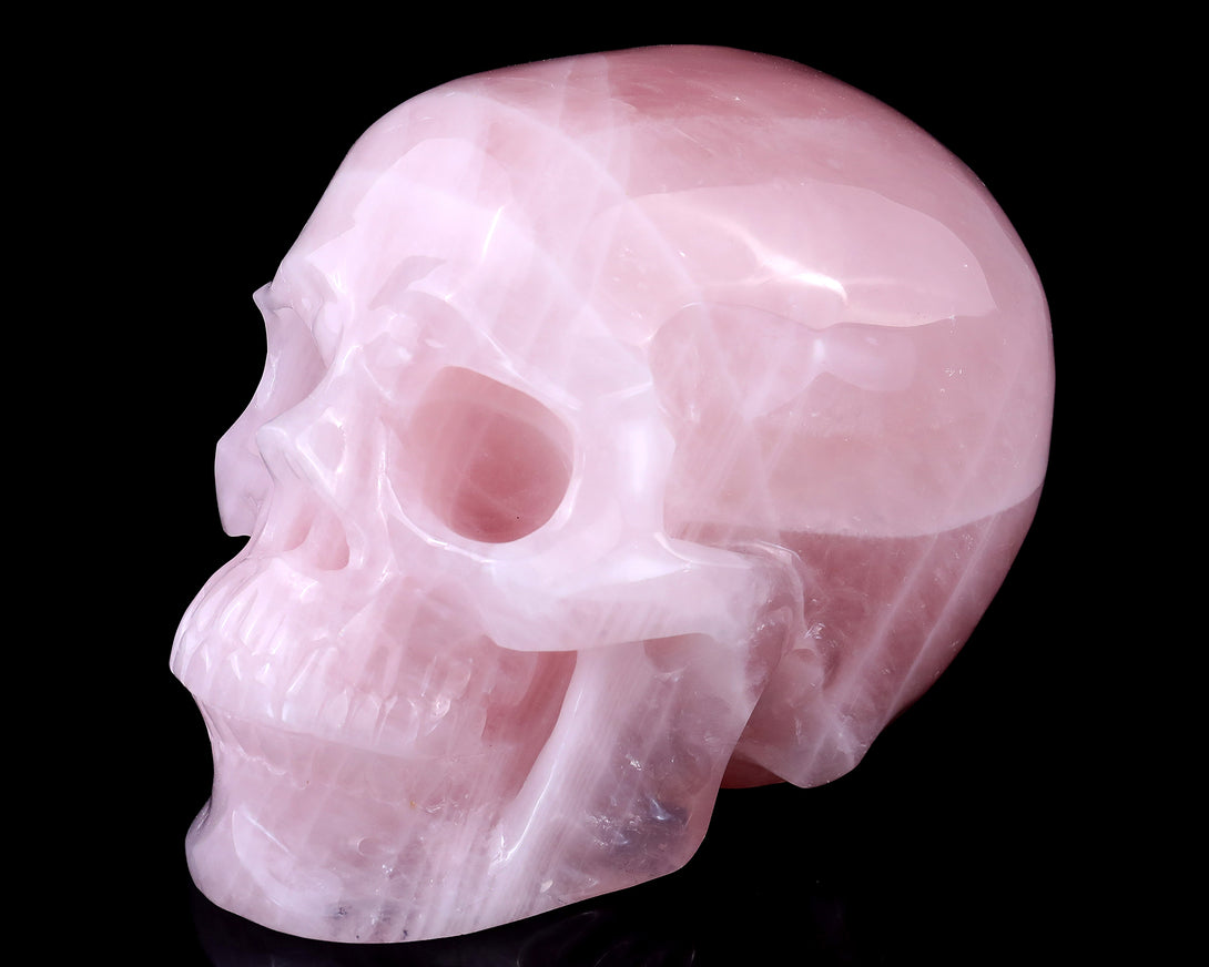 7.7" Rose Quartz Hand Carved Crystal Realistic Skull Sculpture crysvibe