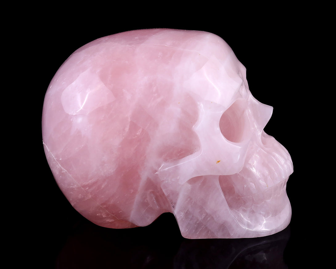 7.7" Rose Quartz Hand Carved Crystal Realistic Skull Sculpture crysvibe