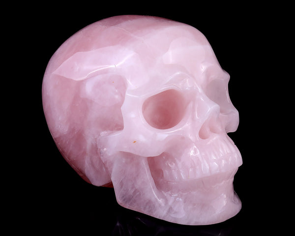 7.7" Rose Quartz Hand Carved Crystal Realistic Skull Sculpture crysvibe