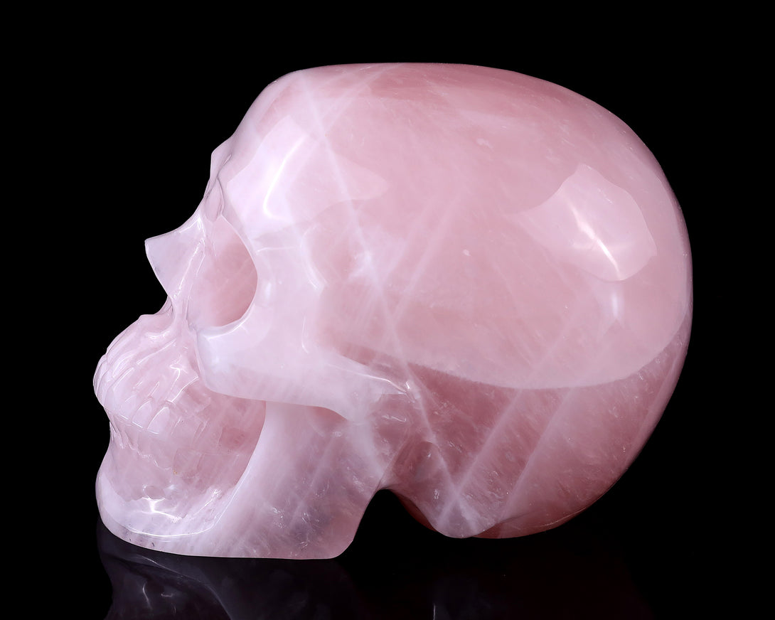 7.7" Rose Quartz Hand Carved Crystal Realistic Skull Sculpture crysvibe