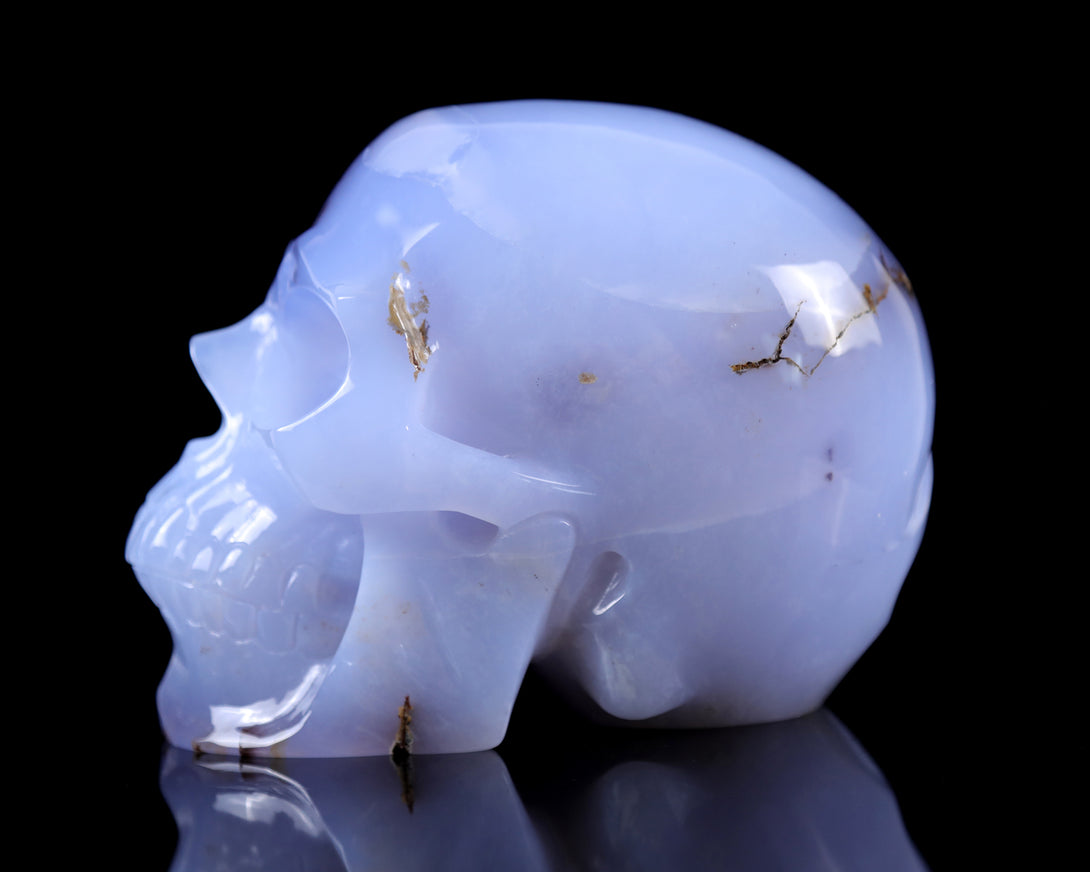 7.9" Blue Chalcedony Hand Carved Crystal Huge Realistic Skull Sculpture crysvibe