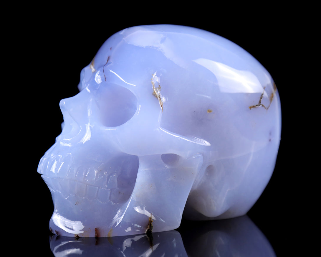 7.9" Blue Chalcedony Hand Carved Crystal Huge Realistic Skull Sculpture crysvibe