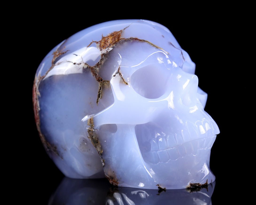 7.9" Blue Chalcedony Hand Carved Crystal Huge Realistic Skull Sculpture crysvibe