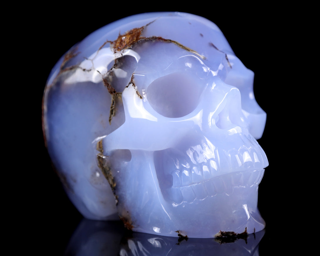 7.9" Blue Chalcedony Hand Carved Crystal Huge Realistic Skull Sculpture crysvibe