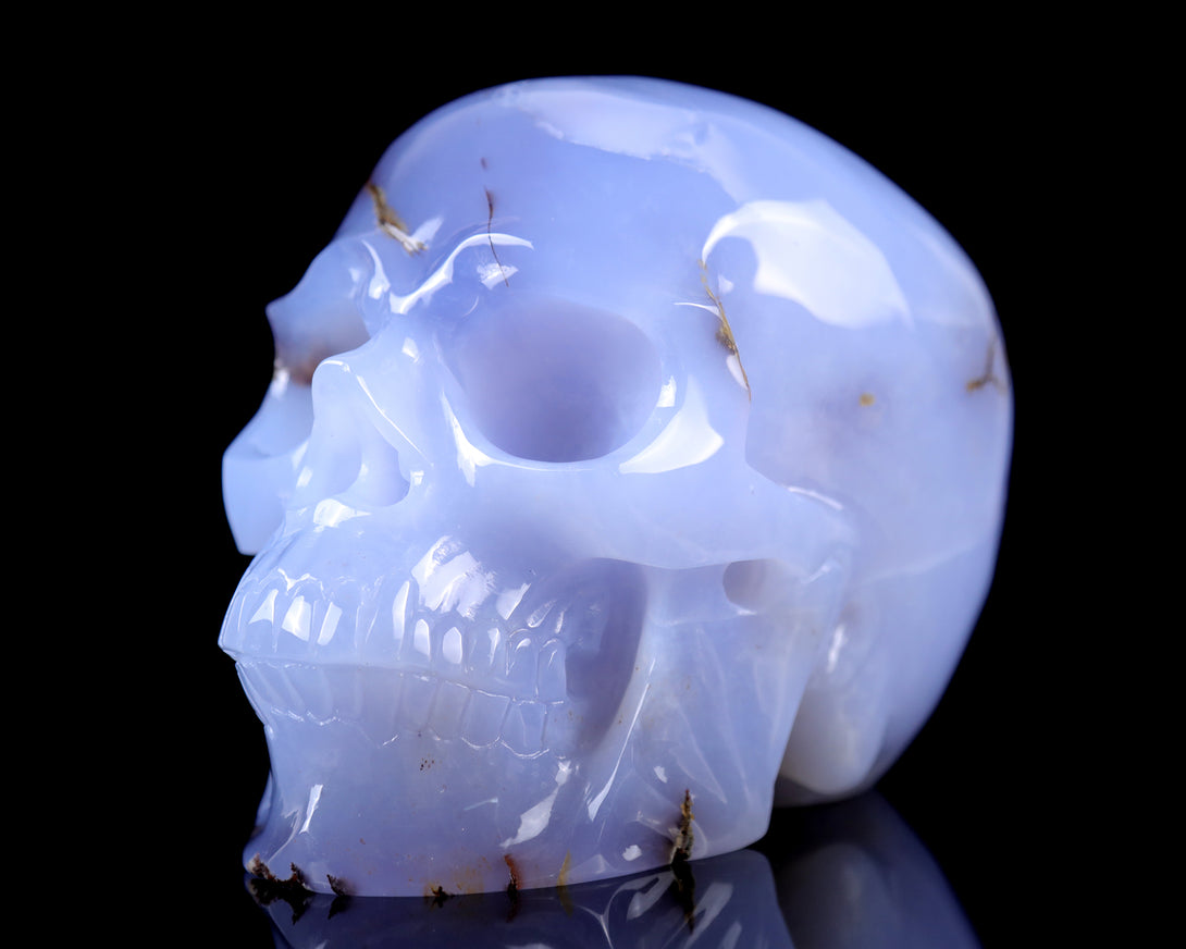 7.9" Blue Chalcedony Hand Carved Crystal Huge Realistic Skull Sculpture crysvibe