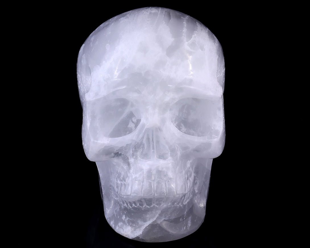 8.3" Selenite Hand Carved Crystal Realistic Skull Sculpture crysvibe