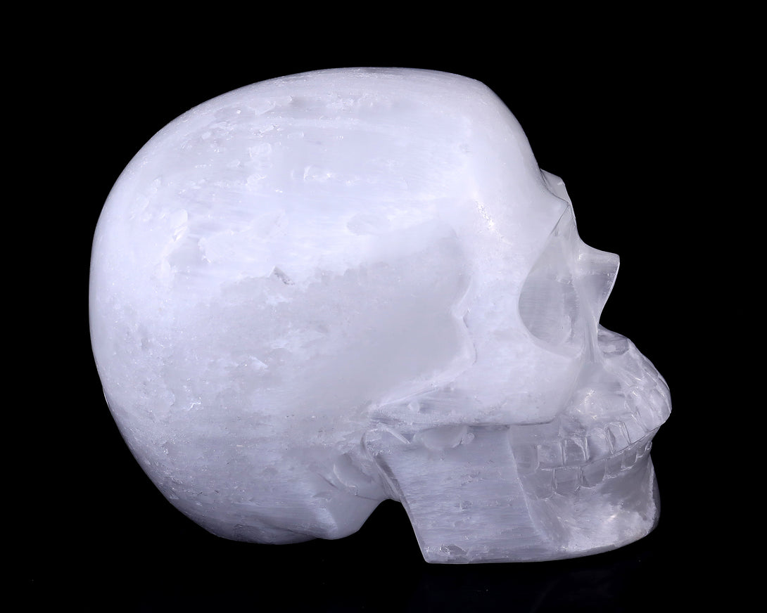 8.3" Selenite Hand Carved Crystal Realistic Skull Sculpture crysvibe