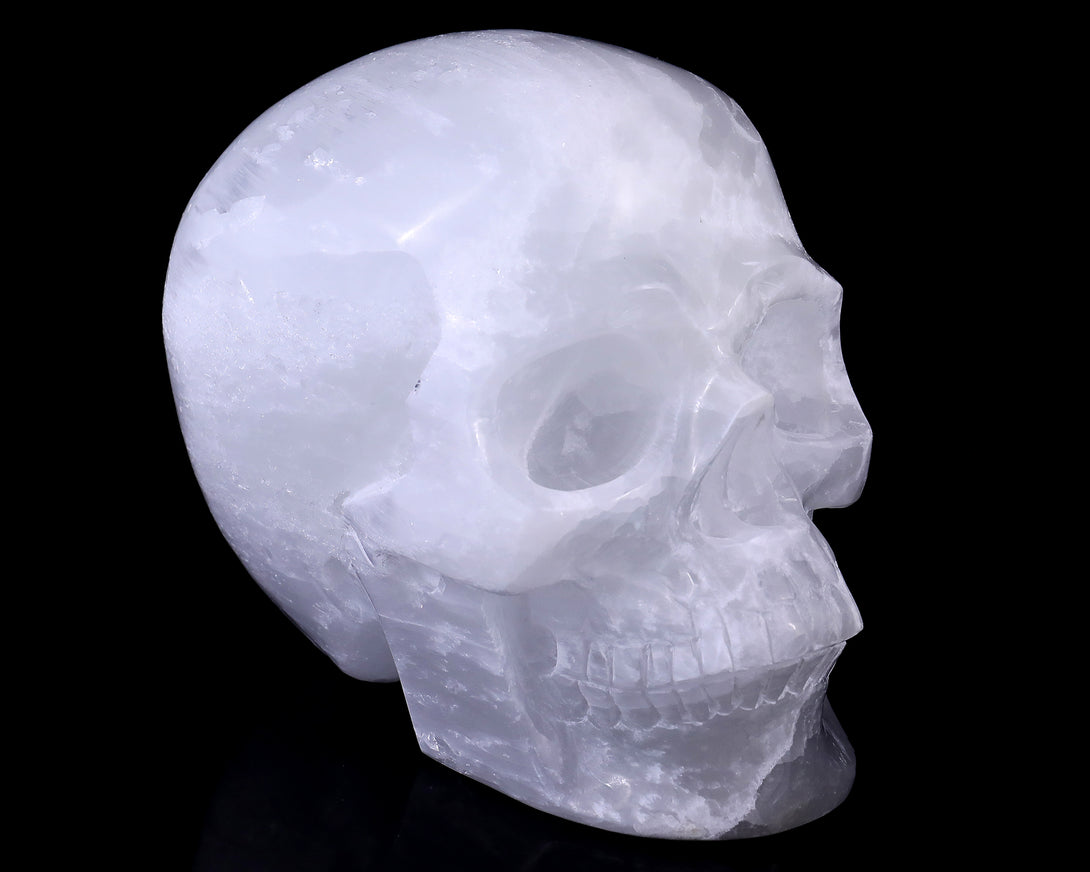 8.3" Selenite Hand Carved Crystal Realistic Skull Sculpture crysvibe