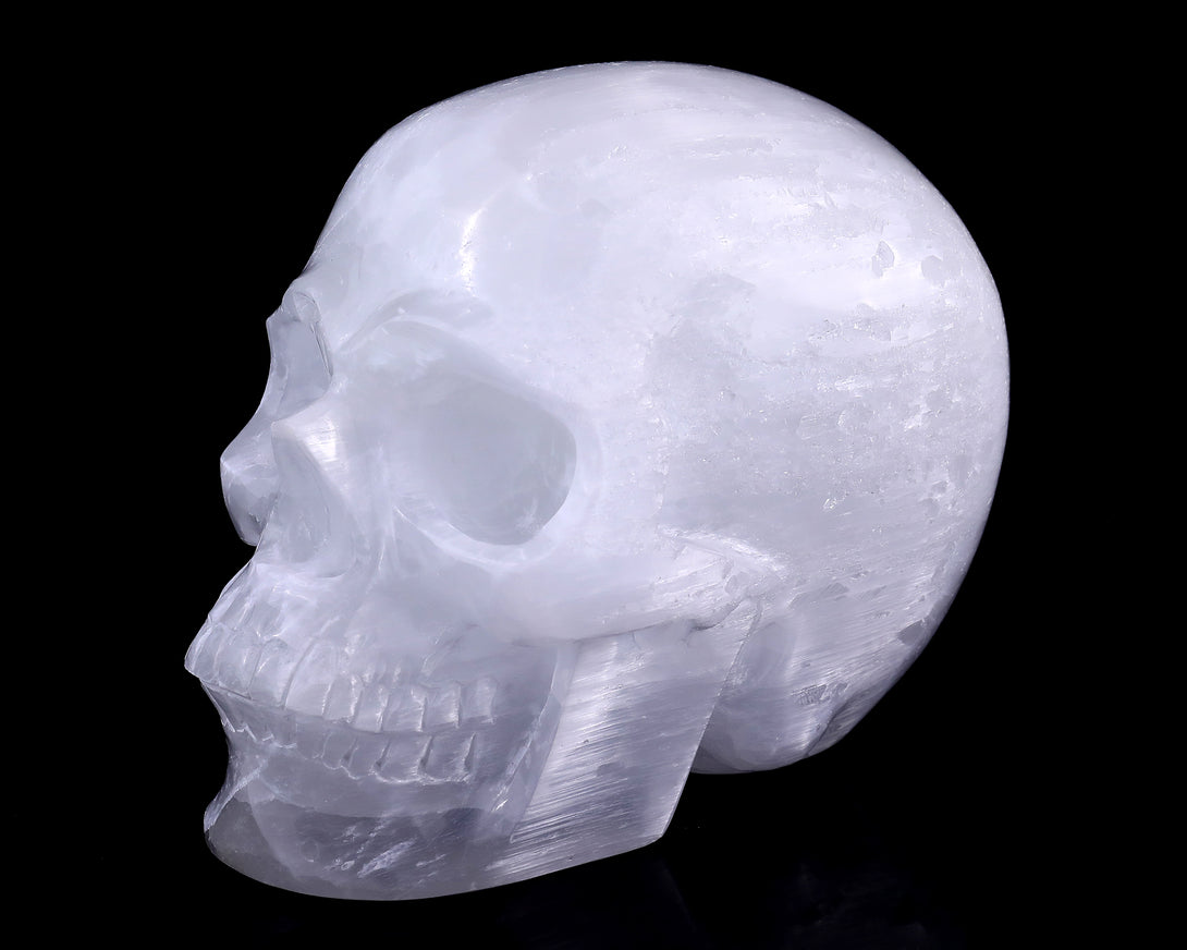 8.3" Selenite Hand Carved Crystal Realistic Skull Sculpture crysvibe