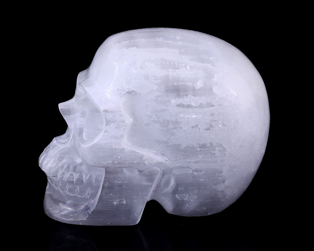 8.3" Selenite Hand Carved Crystal Realistic Skull Sculpture crysvibe