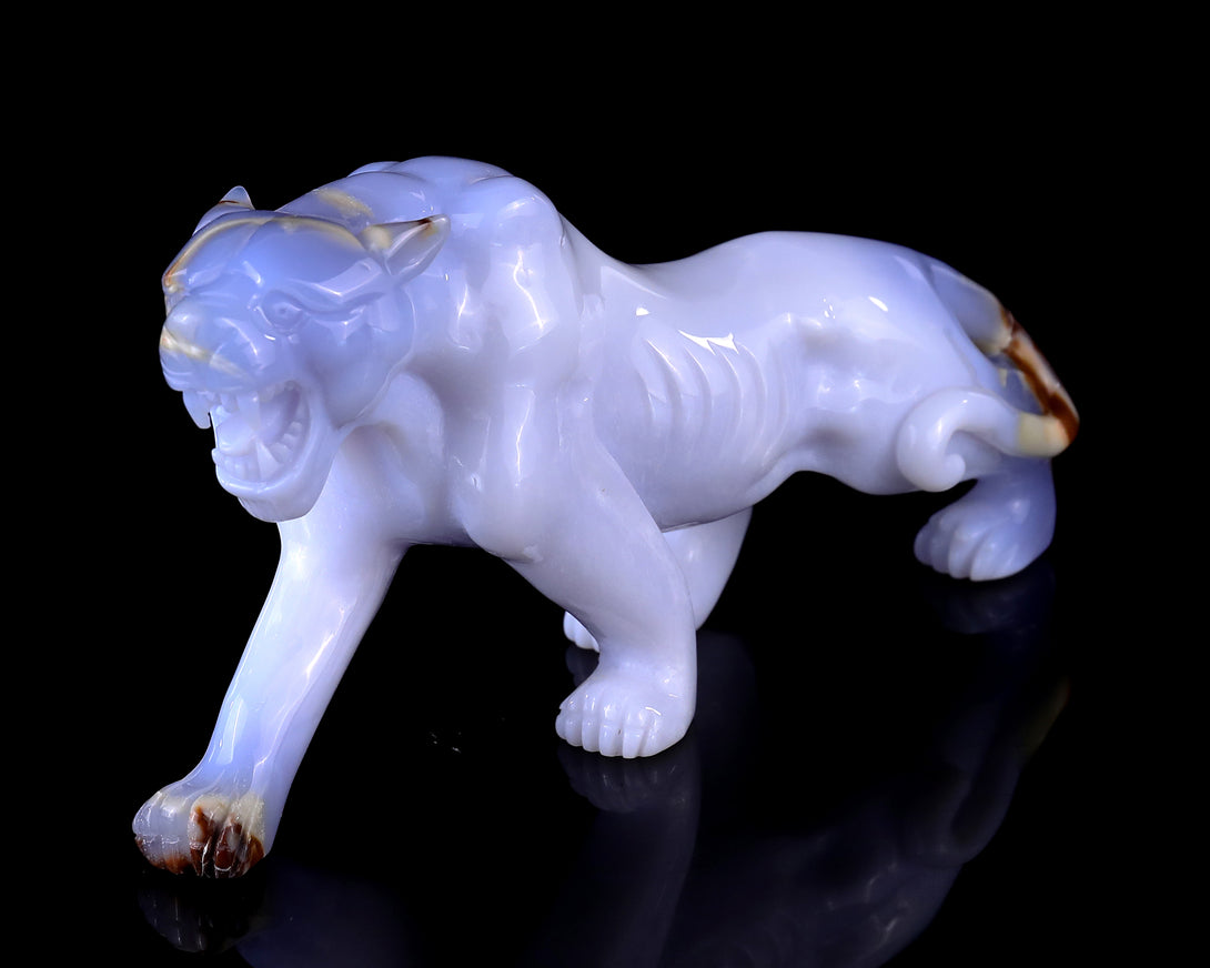 9.3" Blue Chalcedony Hand Carved Crystal Tiger Sculpture crysvibe