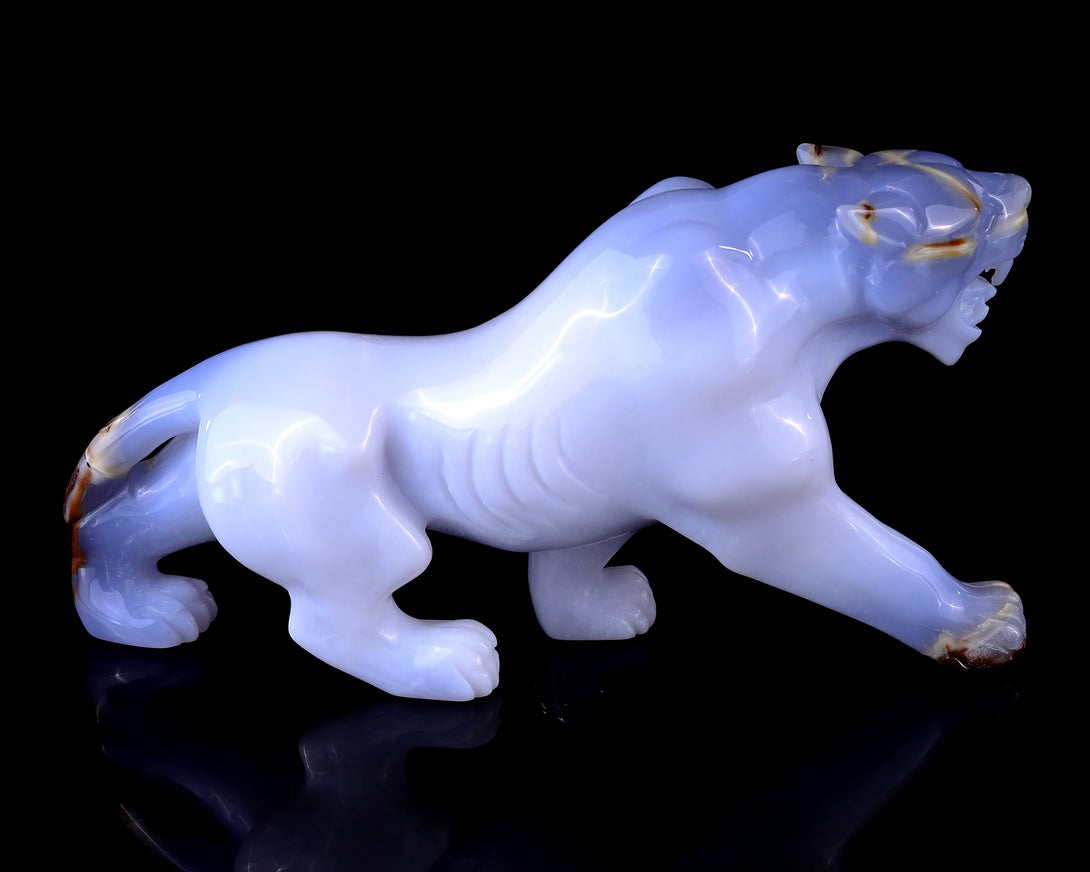 9.3" Blue Chalcedony Hand Carved Crystal Tiger Sculpture crysvibe