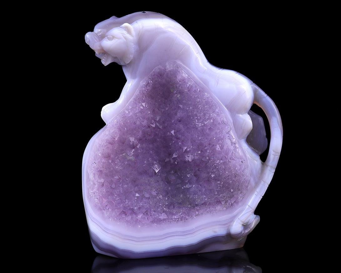 Amazing 5.0" Amethyst Druse Agate Hand Carved Crystal Tiger Sculpture crysvibe