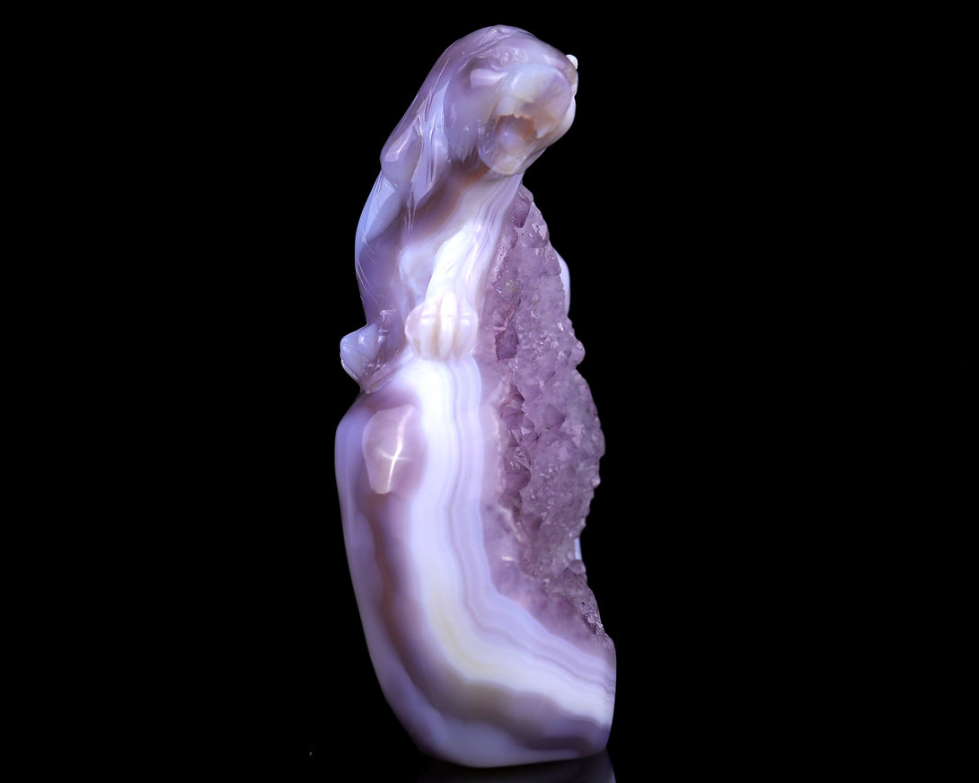 Amazing 5.0" Amethyst Druse Agate Hand Carved Crystal Tiger Sculpture crysvibe