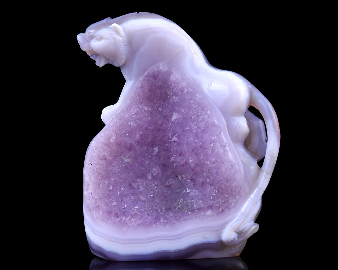 Amazing 5.0" Amethyst Druse Agate Hand Carved Crystal Tiger Sculpture crysvibe