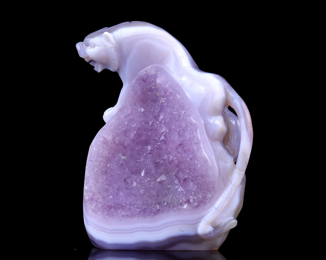 Amazing 5.0" Amethyst Druse Agate Hand Carved Crystal Tiger Sculpture crysvibe