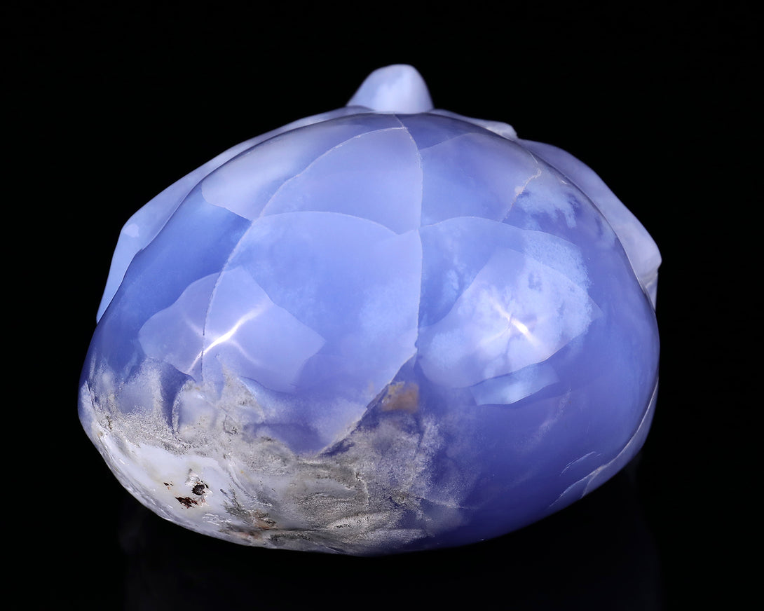 Amazing 6.1" Blue Chalcedony Hand Carved Crystal Skull Sculpture crysvibe