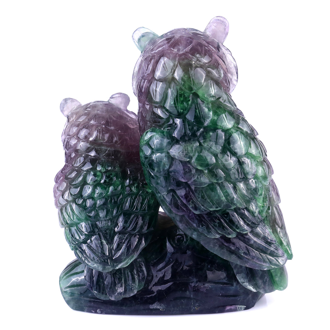 Amazing 6.1" Fluorite Hand Carved Crystal Owls Sculpture crysvibe