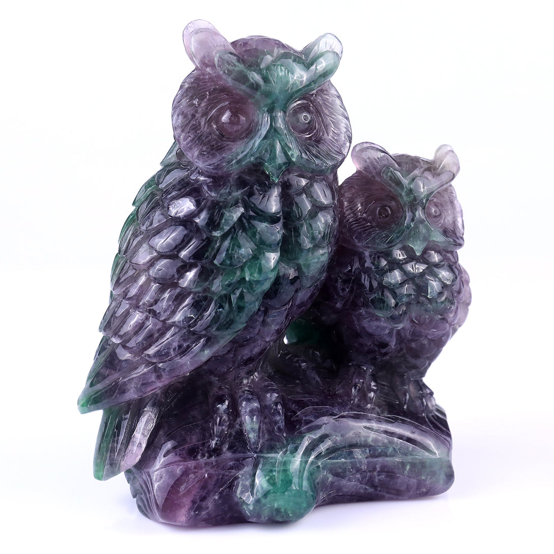 Amazing 6.1" Fluorite Hand Carved Crystal Owls Sculpture crysvibe