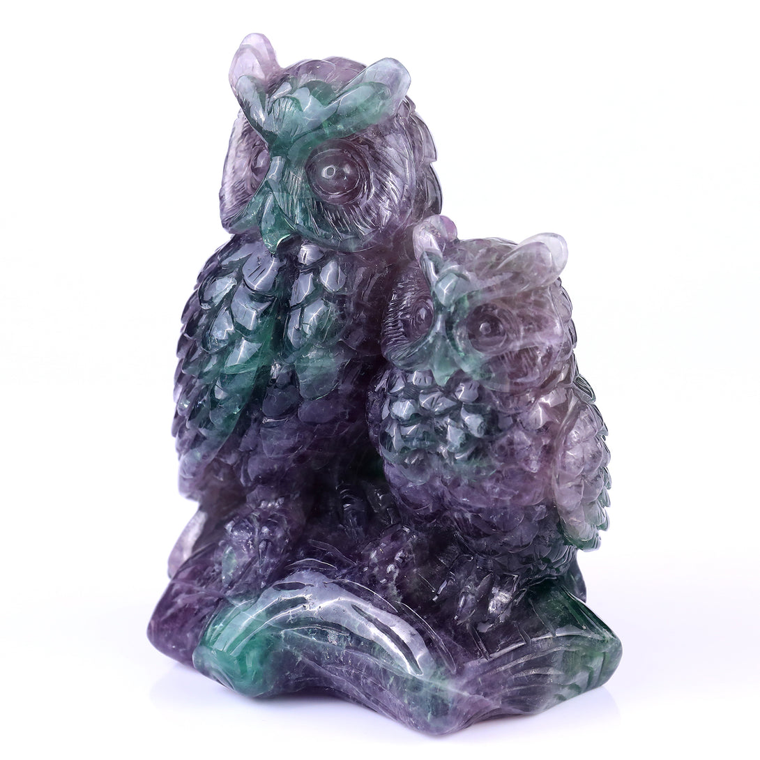 Amazing 6.1" Fluorite Hand Carved Crystal Owls Sculpture crysvibe