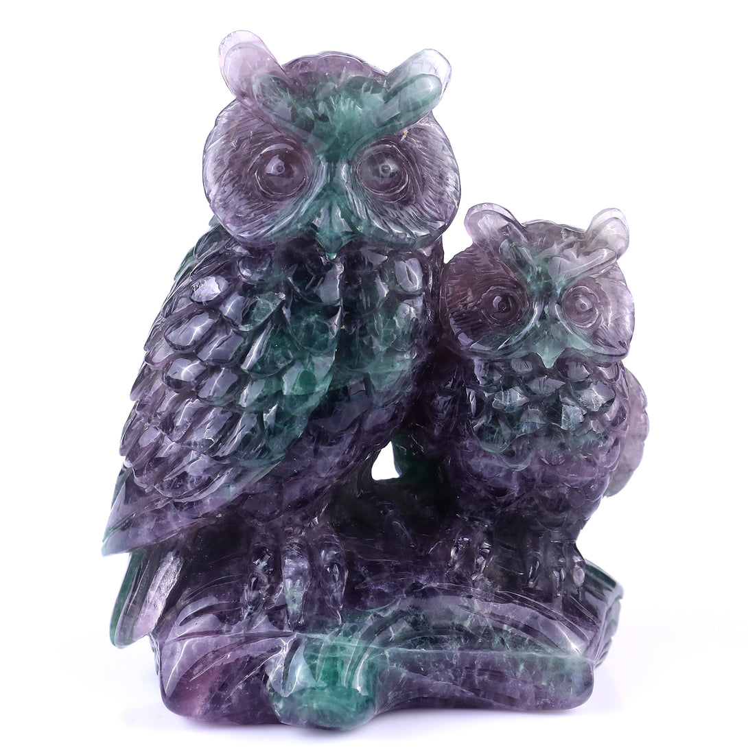 Amazing 6.1" Fluorite Hand Carved Crystal Owls Sculpture crysvibe