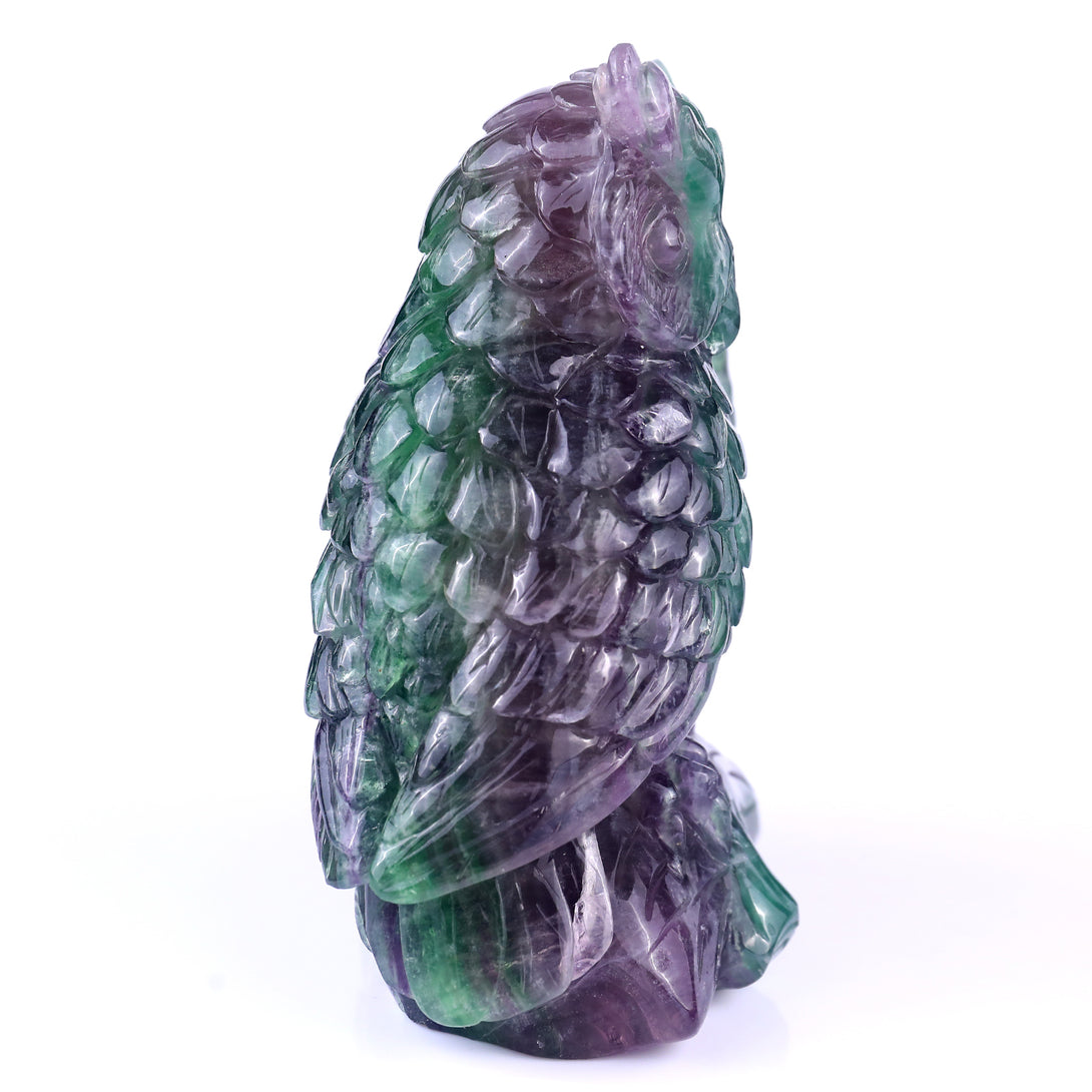 Amazing 6.1" Fluorite Hand Carved Crystal Owls Sculpture crysvibe