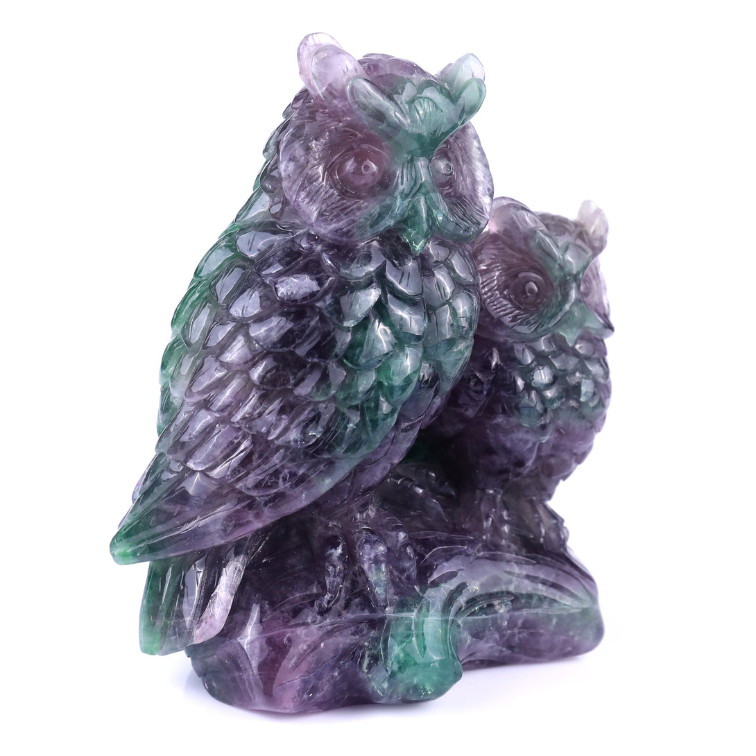 Amazing 6.1" Fluorite Hand Carved Crystal Owls Sculpture crysvibe