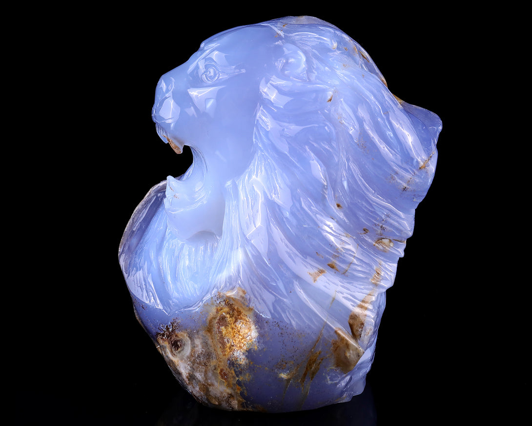 Amazing 6.7" Blue Chalcedony Hand Carved Crystal Lion Head Sculpture crysvibe